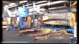 Inside a modern sawmill in Japan  Visit wood processing plants