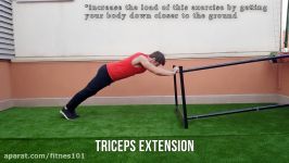 100 BODYWEIGHT EXERCISES NO GYM REQUIRED  TRICEPS