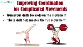 6. What is Balance and Coordination and How to Improve it