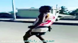 می زدمو لولم ... مستمو شنگولم