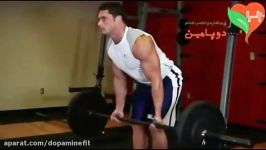 حرکت هالتر خمیده دست ها برعکس Reverse Grip Bent Over Rows