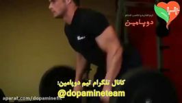 حرکت هالتر خمیده Bent Over Barbell Row