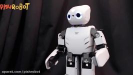 ربات انسان نمای پیشرفته ROBOTIS OP2