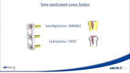 Cervical Interbody Fusion Cages and Anterior Plates