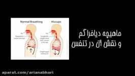 تنفس مهمترین آموزش آواز ، جلسه سوم آموزش آواز پاپ