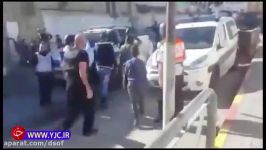 بازداشت یک الاغ توسط نیروهای امنیتی رژیم صهیونیستی