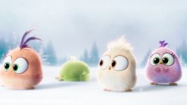 Angry Birds Match Official The Hatchlings Deck the Halls Trailer