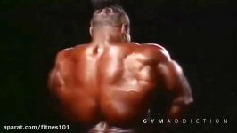 Top 5 Incredible Bodybuilders Never Won Mr Olympia