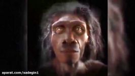 Could Humans Survive 1 Million Years Ago