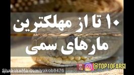 10 تا مهلک ترین مارهای سمی جهان