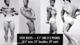 The Original King of Aesthetics Steve Reeves