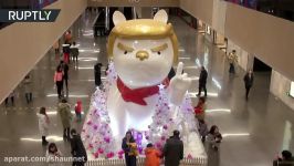 سال نو میلادی سال چینی سگ بانمادی ازدونالد ترامپ آمریکا