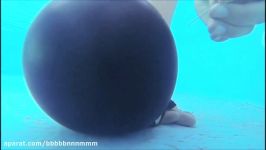 GoPro Hero 3  Black Edition  Water Balloon  Underwater