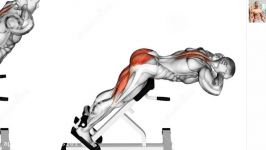 Bodybuilding Exercises Best Back workouts For Mass