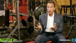 Best Bodybuilder of All Time  Arnold Schwarzeneggers Blueprint Training Program