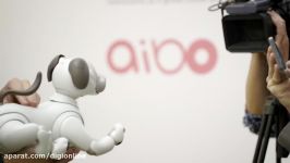 سگ رباتیک سونی نام ایبو Sony Aibo