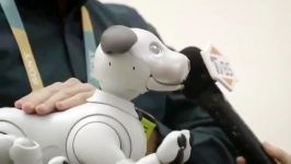 نگاهی به ربات Aibo سونی