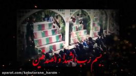 تیزر سالگرد سردار شهید مدافع حرم حاج ذاکر حیدری 1
