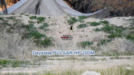 Daystate Pulsar HP 200 Meter