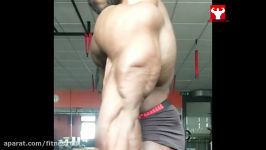 This Physique needs to win Mr Olympia  Brandon Curry Posing