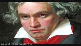 Beethoven  Symphony No. 5 in C Minor 1