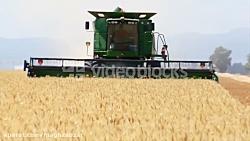 فوتیج ویدیویی ماشین درو در حال برداشت گندم مزرعه