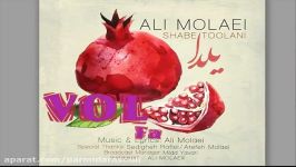 آهنگ جدیذ علی مولایی  شب طولانیAli Molaei Shabe Toolani