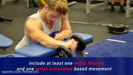 How To Build Huge Forearms  Training Science Explained