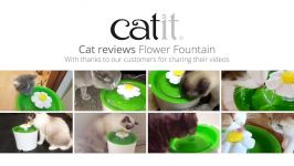 آبخوری اتوماتیک گربه مدل Flower