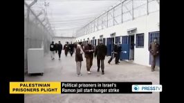 Palestinian inmates in Israeli prison begin hunger strike