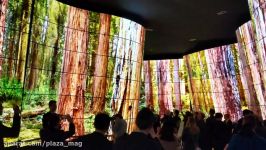 CES 2018 LG OLED Canyon