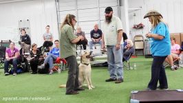 How to stop a jumping dog dog training tips. Stopped in 1 second.