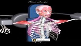 نشر جانب دستگاه Lateral raise machine .