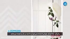 نام کلیپ من بهشت سخن بگویید