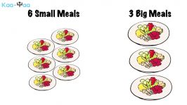 14. Meal Planning and Nutritional Supplements