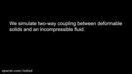 Eulerian Solid Fluid Coupling