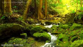 Rainforest Sounds  Waterfall Relaxing Music Singing Birds Ambience