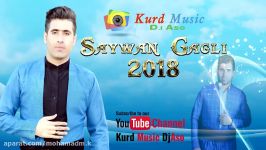 Saywan Gagli 2018 Part 10 سیوان گاگلی