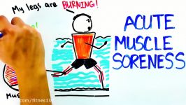 Muscle Soreness and Recovery Tips  Relieve Muscles FAST