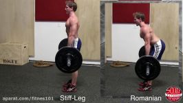 Romanian Deadlift Vs Stiff Leg Deadlift Whats The Difference