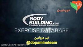 حرکت بارفیکس بالا بردن بدن برعکس Bodyweight Mid Row