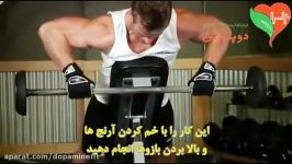 حرکت هالتر خمیده روی نیمکت شیب دار Incline Bench Pull