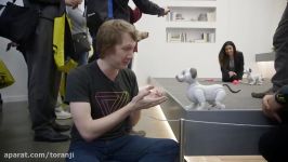 نگاهی به سونی آی بو Aibo ربات سگ سونی