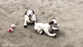 Sony aibo CES 2018