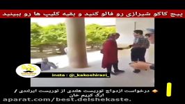 درخواست ازدواج هلندی ایرلندی در ارگ کریمخان