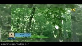 نماهنگ دلم گرفته ای رفیق صدای گرشا رضایی