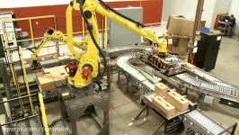 Robots Palletize 4 Production Lines in Multi Line Robotic Palletizing System  Currie by Brenton®