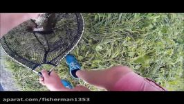 HD dropshot small perch vs big zander film