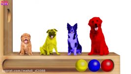 Learn Colors with Dog Xylophone Funny Animals Colors Videos for Kids Babies Toddlers HAHA Toys