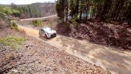 KEN BLOCK TESTS RALLY CAR IN THE ACRE WOOD